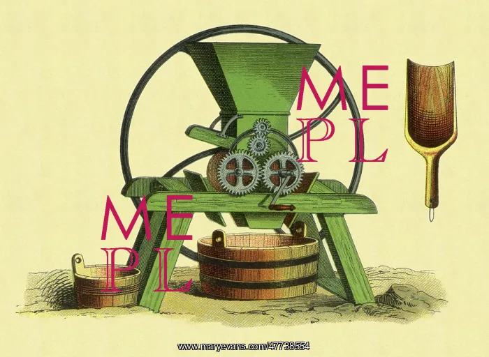  : Grinder and Scoop