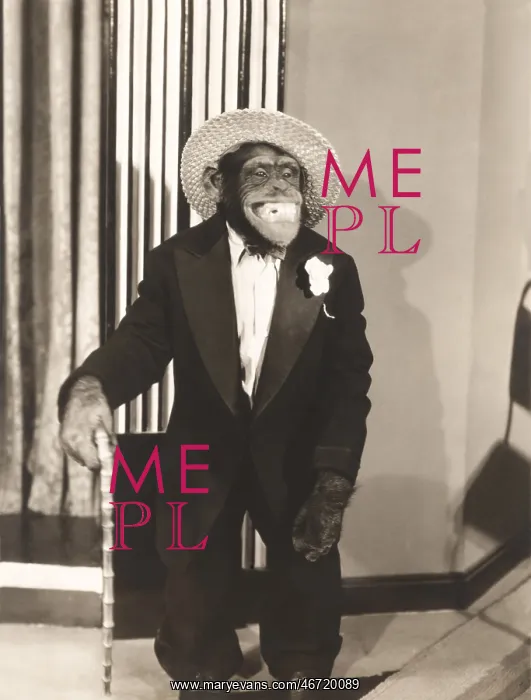 : Grinning monkey in tuxedo : Grinning monkey in tuxedo