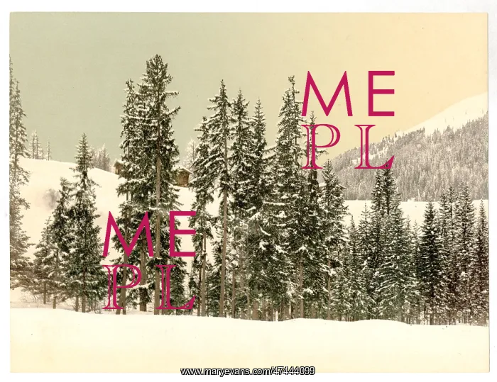 : Grisons, Switzerland, in winter : Grisons, Switzerland, in winter