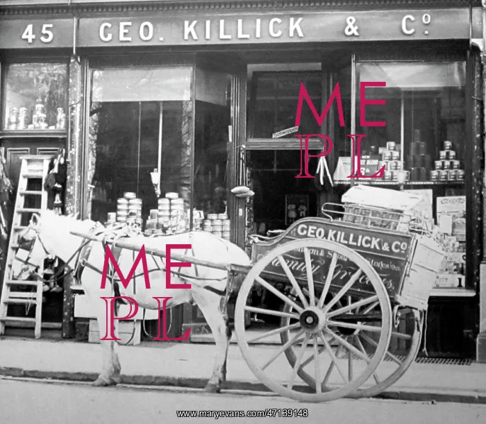  : Grocer's shop, early 1900s