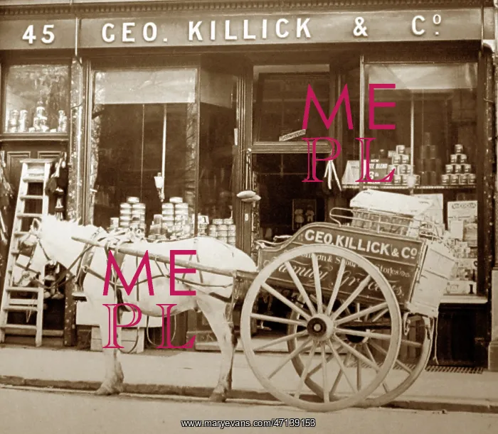  : Grocer's shop, early 1900s