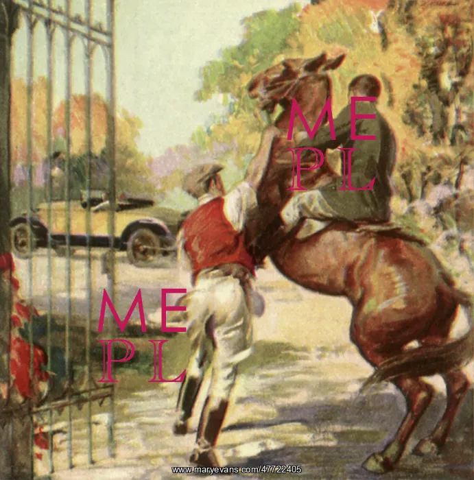  : Groom Calms Horse