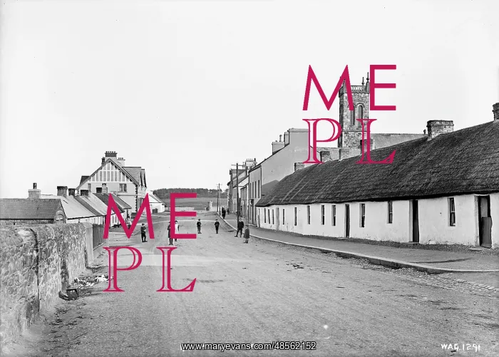 : Groomsport, Co. Down : Groomsport, Co. Down