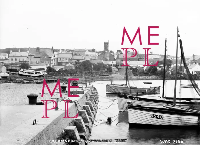 : Groomsport from the Harbour : Groomsport from the Harbour
