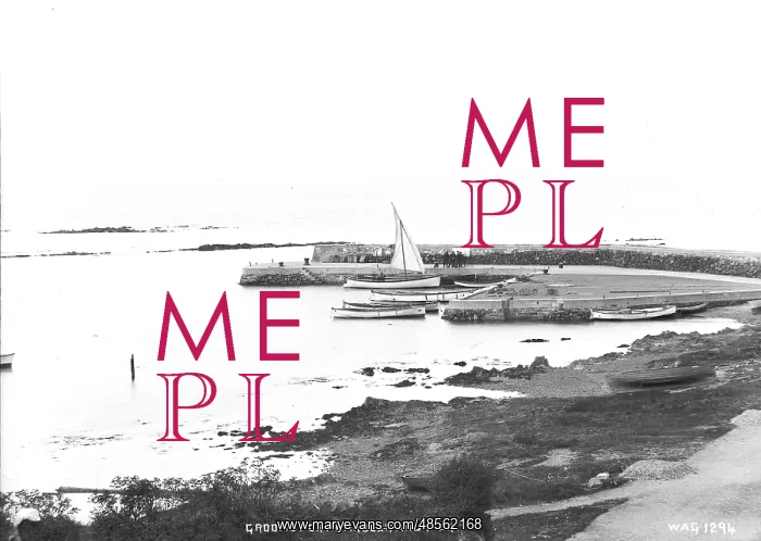 : Groomsport Harbour and Pier : Groomsport Harbour and Pier