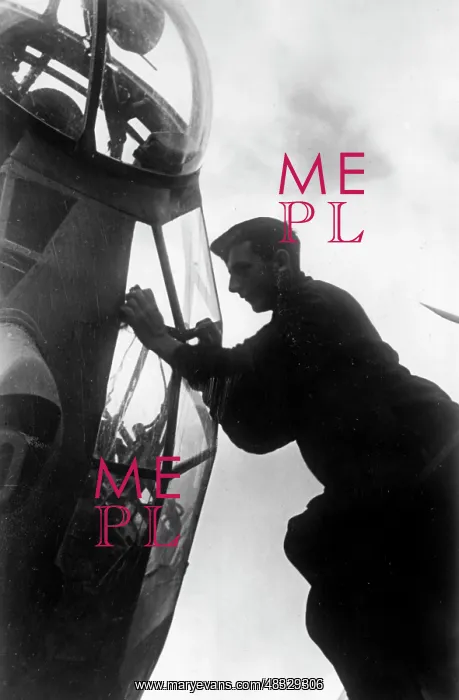 : Ground personnel of the German Air Force - the Eastern Front : Ground personnel of the German Air Force - the Eastern Front