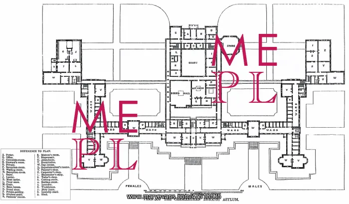 : Ground plan, Carmarthen County Lunatic Asylum, Wales : Ground plan, Carmarthen County Lunatic Asylum, Wales