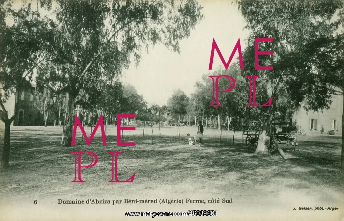 : The grounds of Abziza farm. beni Mered, Blida : The grounds of Abziza farm. beni Mered, Blida