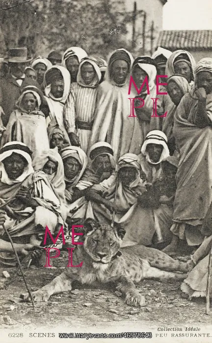: Group of Algerian men and tame Lion : Group of Algerian men and tame Lion