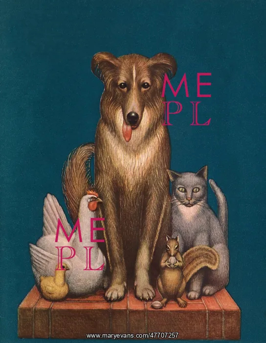  : Group of Animals