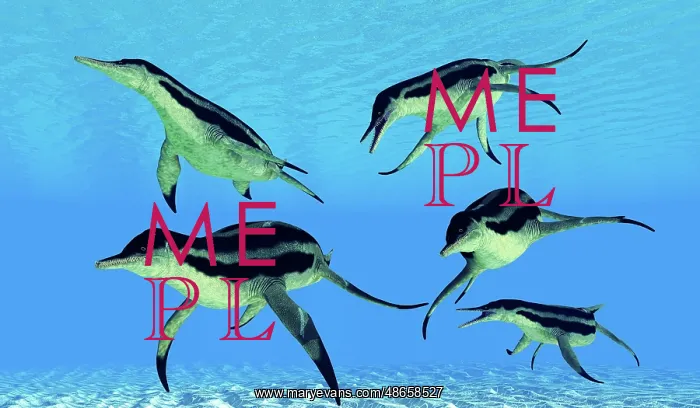 : A group of aquatic Dolichorhynchops in Cretaceous seas : A group of aquatic Dolichorhynchops in Cretaceous seas