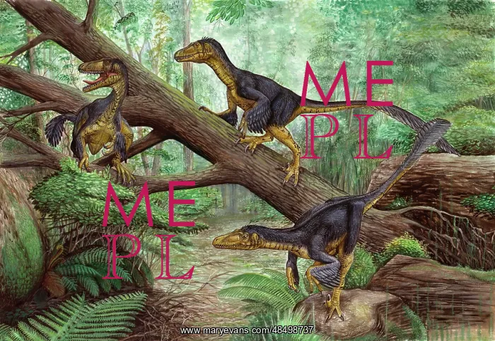: A group of Balaur bondoc in a prehistoric environment : A group of Balaur bondoc in a prehistoric environment