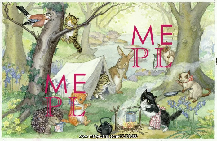 : A group of cats go camping in the woods : A group of cats go camping in the woods
