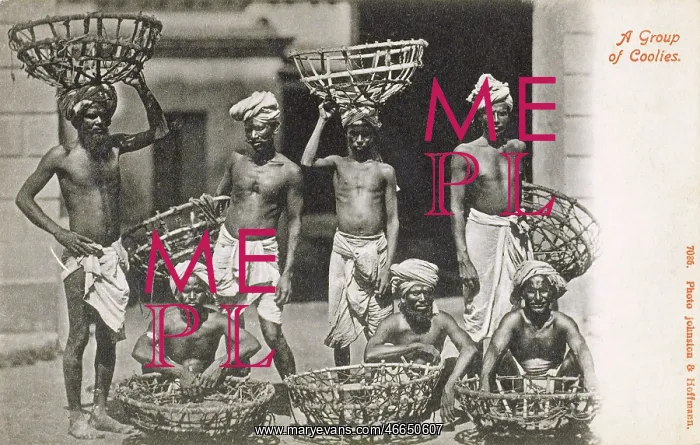 : A group of Coolies, India : A group of Coolies, India