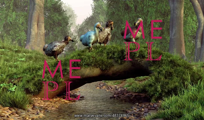 : A group of Dodo birds crossing a natural bridge over a ? : A group of Dodo birds crossing a natural bridge over a ?