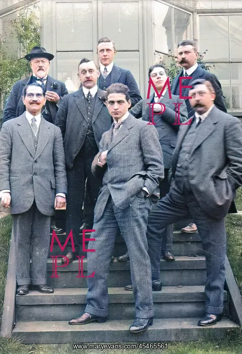 : Group of Edwardian men on garden steps : Group of Edwardian men on garden steps