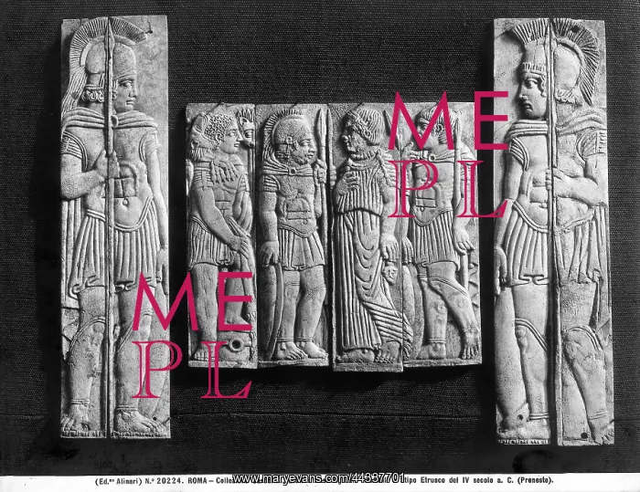 : Group of figured bones able : Group of figured bones able
