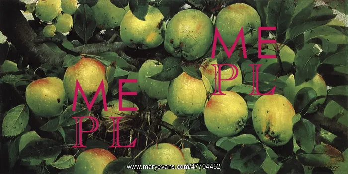  : Group of Green Apples