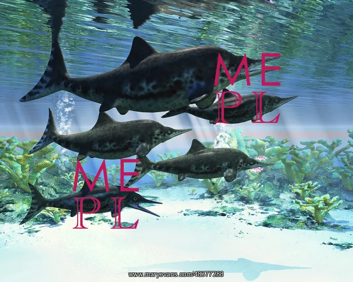 : A group of Ichthyosaurs swimming in prehistoric waters : A group of Ichthyosaurs swimming in prehistoric waters