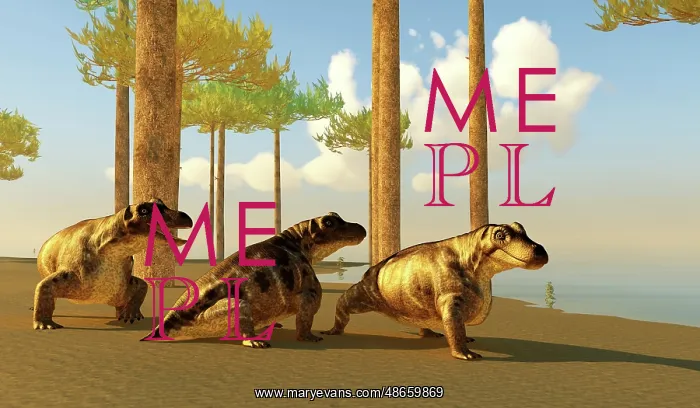 : A group of Keratocephalus prehistoric animals : A group of Keratocephalus prehistoric animals