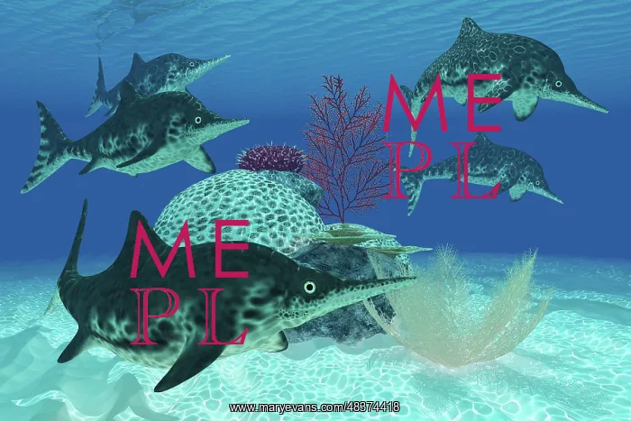 : A group of large Ichthyosaurus marine reptiles swimming in ? : A group of large Ichthyosaurus marine reptiles swimming in ?