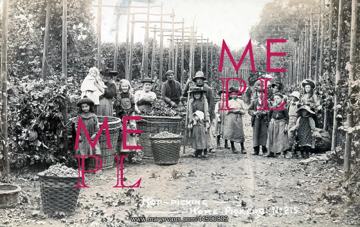 : Group of London Hop Pickers in Kent : Group of London Hop Pickers in Kent