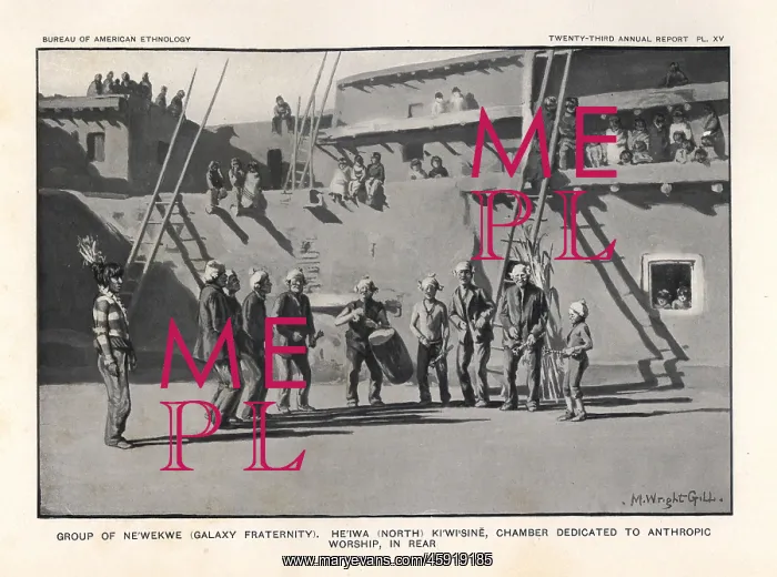 : Group of Ne'wekwe, Galaxy fraternity, He'iwa : Group of Ne'wekwe, Galaxy fraternity, He'iwa