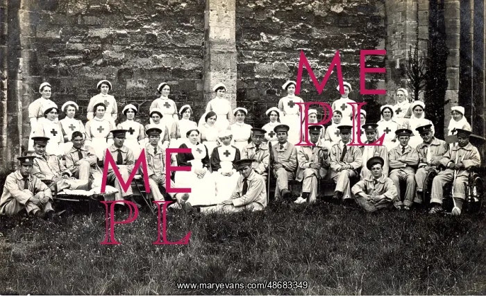 : Group of Nurses : Group of Nurses