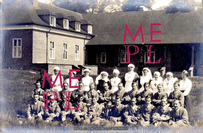 : Group of Nurses : Group of Nurses