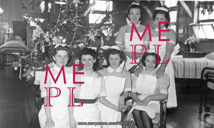 : Group of nurses and Christmas tree : Group of nurses and Christmas tree