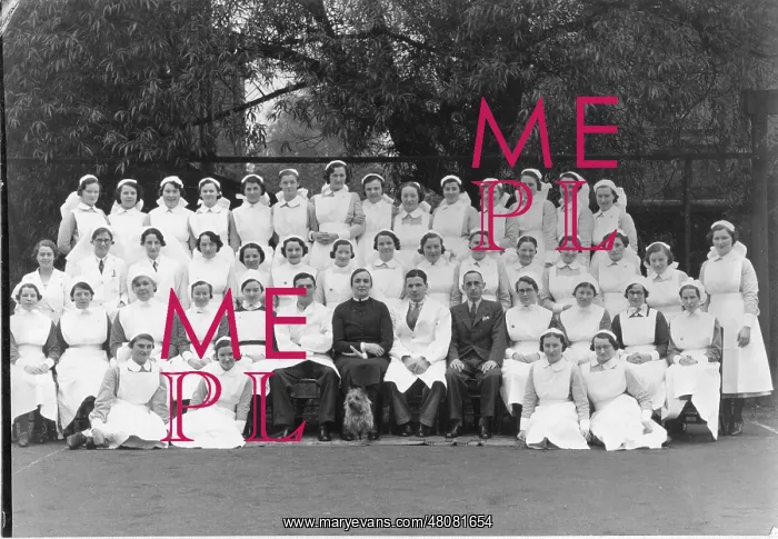 : Group of nurses, doctors, senior nurse and dog : Group of nurses, doctors, senior nurse and dog