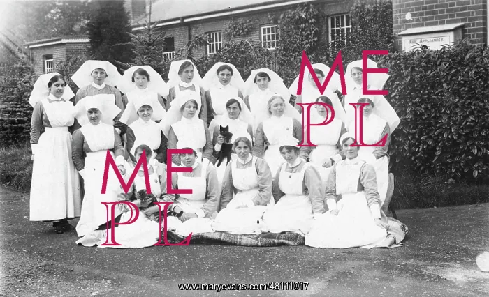: Group of nurses in garden with cats : Group of nurses in garden with cats