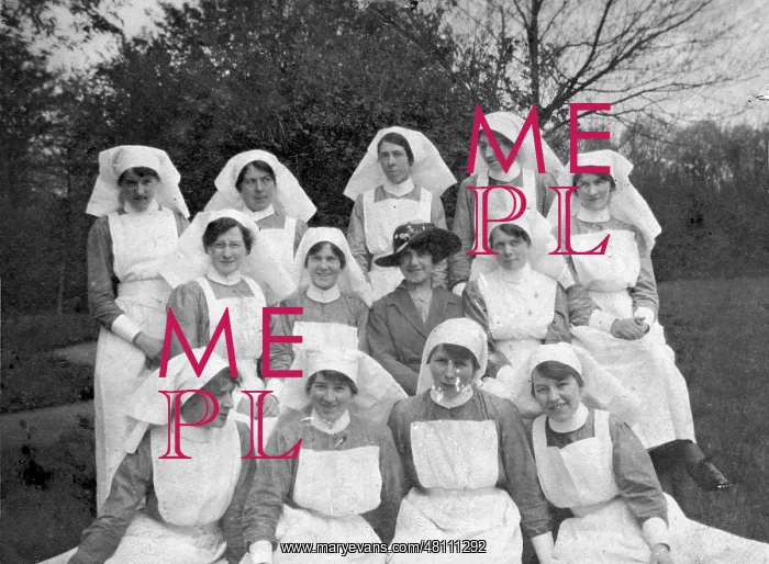 : Group of nurses in the garden of a WW1 hospital : Group of nurses in the garden of a WW1 hospital