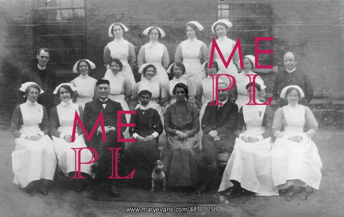 : Group of nurses, matron, senior nursing staff, doctors and c : Group of nurses, matron, senior nursing staff, doctors and c