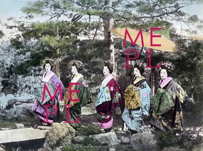: Group of Oiran, high class escorts, Japan, circa 1880s : Group of Oiran, high class escorts, Japan, circa 1880s