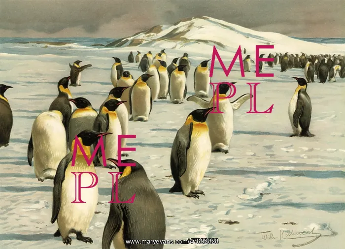  : Group of Penguins