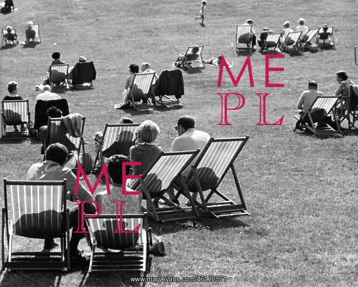 : Group of people on deckchairs in a park with shadows : Group of people on deckchairs in a park with shadows