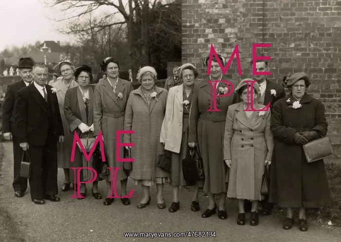 : Group photo of middle-aged wedding guests : Group photo of middle-aged wedding guests