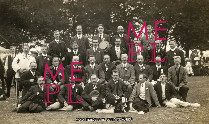 : Group photograph at the Richmond Dog Show : Group photograph at the Richmond Dog Show