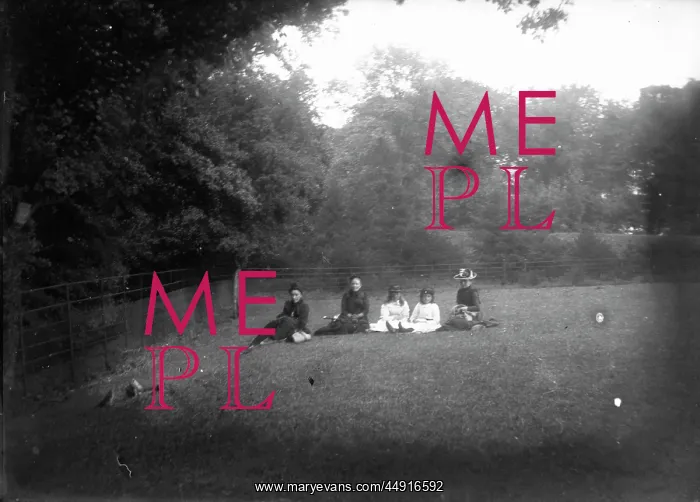 : Group portrait in field (Boswell's?) : Group portrait in field (Boswell's?)