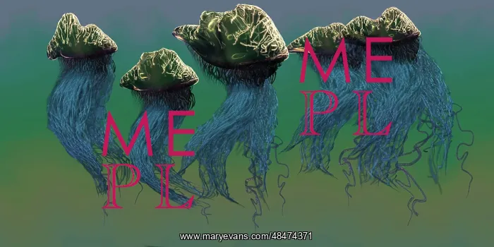 : Group of Portuguese Man O War : Group of Portuguese Man O War