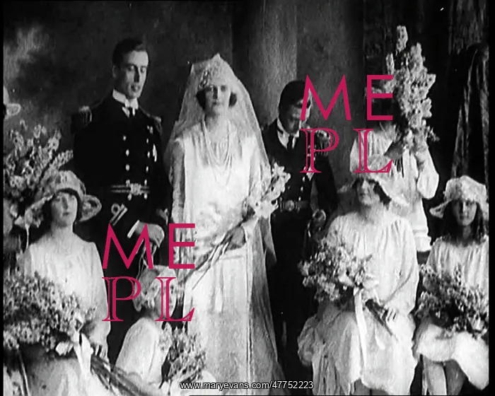 : Group Posing For Wedding Photos at the Wedding