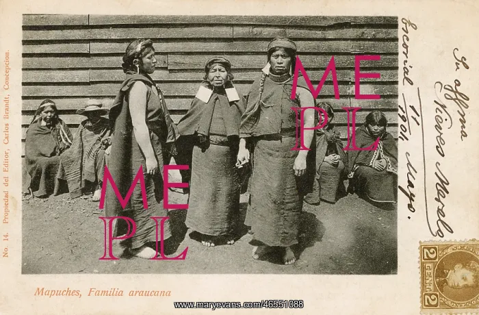 : A Group of related Mapuche Indian Women : A Group of related Mapuche Indian Women