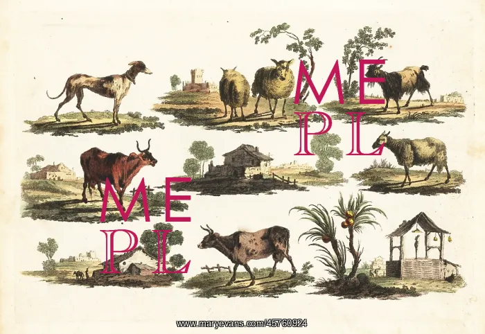 : Group of rustic animals, 18th century : Group of rustic animals, 18th century