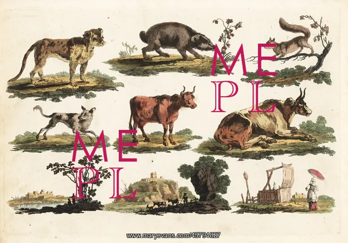 : Group of rustic animals, 18th century : Group of rustic animals, 18th century