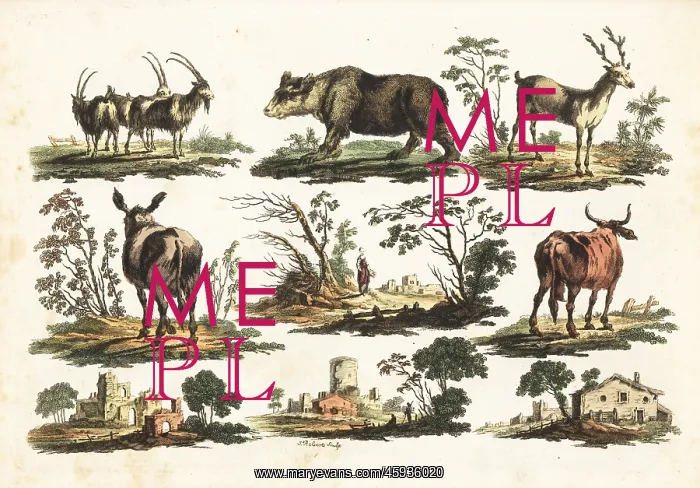 : Group of rustic animals, 18th century : Group of rustic animals, 18th century