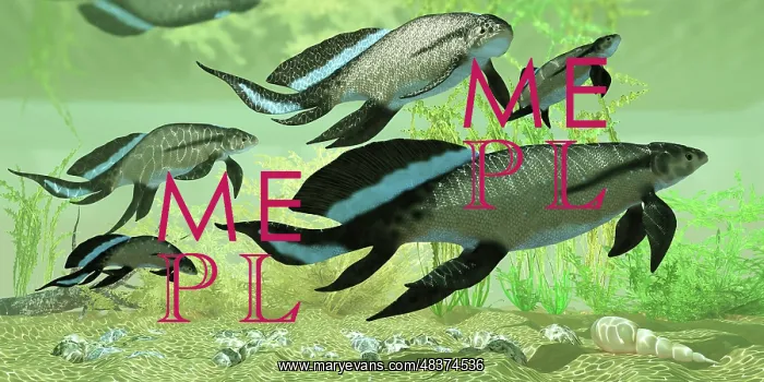 : A group of Scaumenacia lobe-finned fish from the Devonian ? : A group of Scaumenacia lobe-finned fish from the Devonian ?