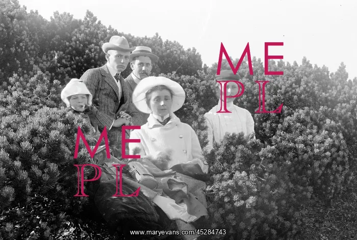 : Group in shrubs on Schneeberg, Austria : Group in shrubs on Schneeberg, Austria