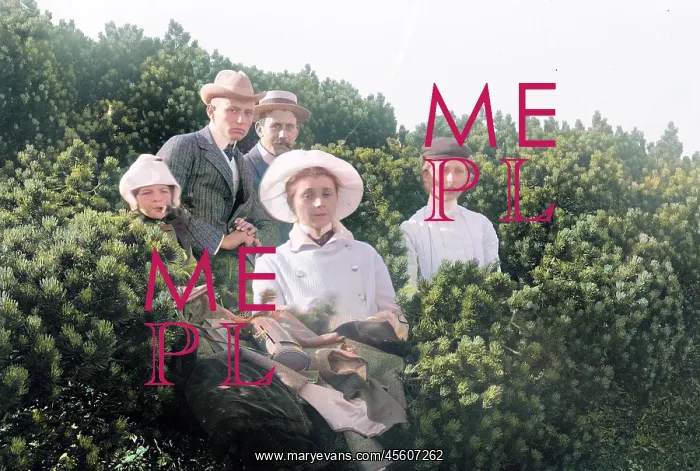 : Group in shrubs on Schneeberg, Austria : Group in shrubs on Schneeberg, Austria