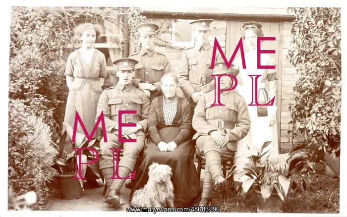 : Group Sitting Outside with Dog : Group Sitting Outside with Dog
